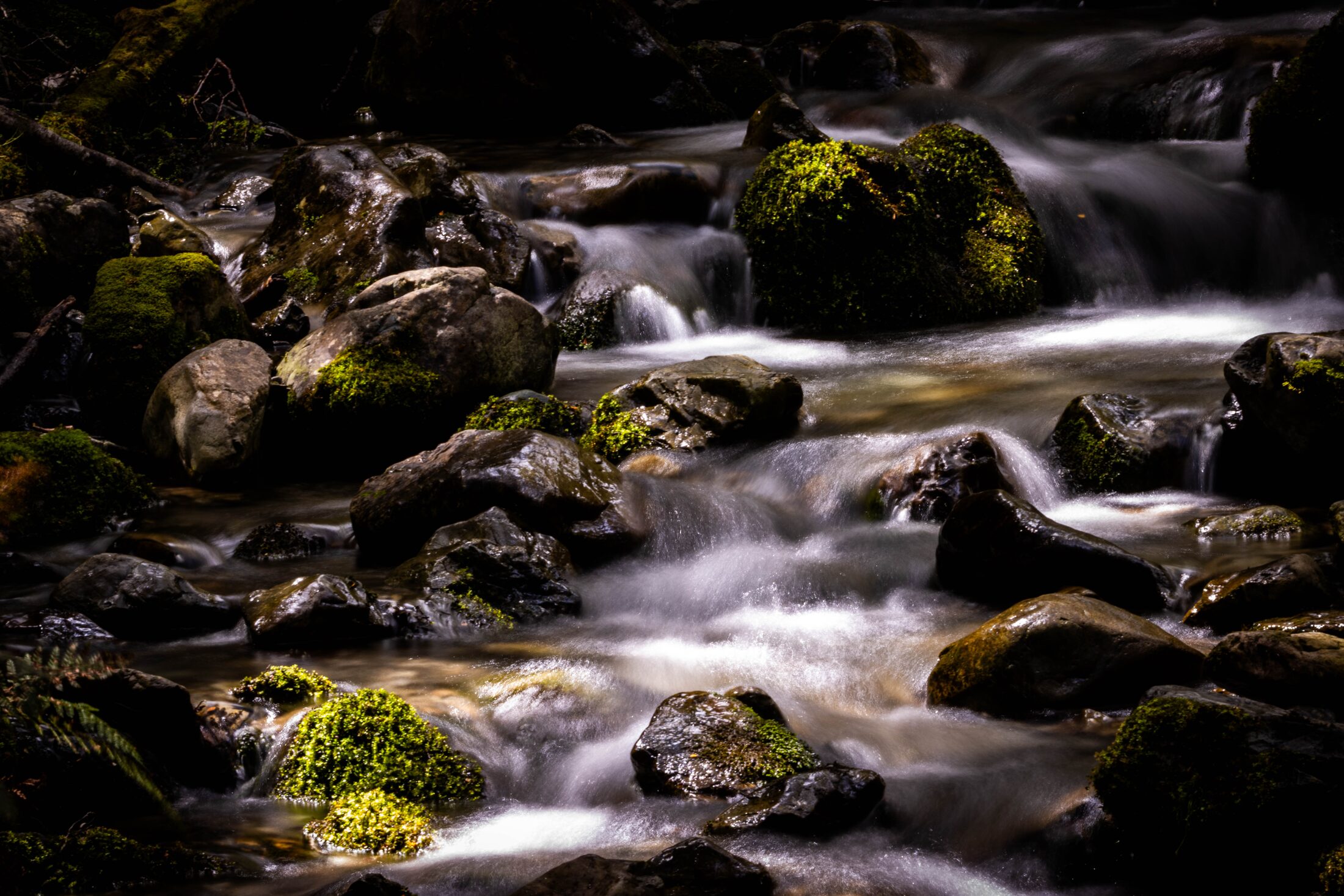 Lake Brunner, New Zealand — photo 4 of 19