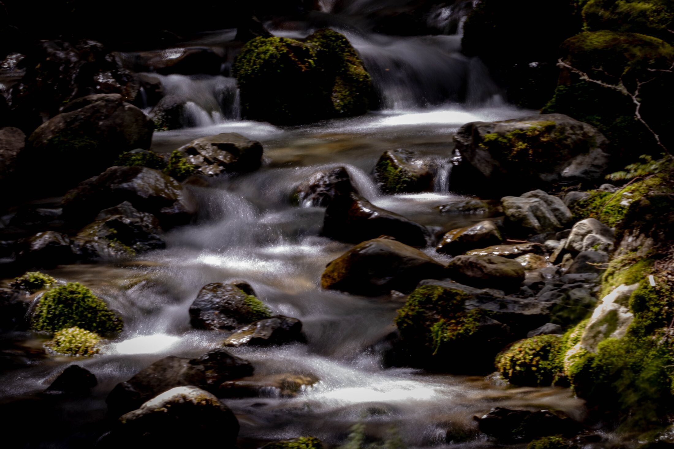 Lake Brunner, New Zealand — photo 5 of 19