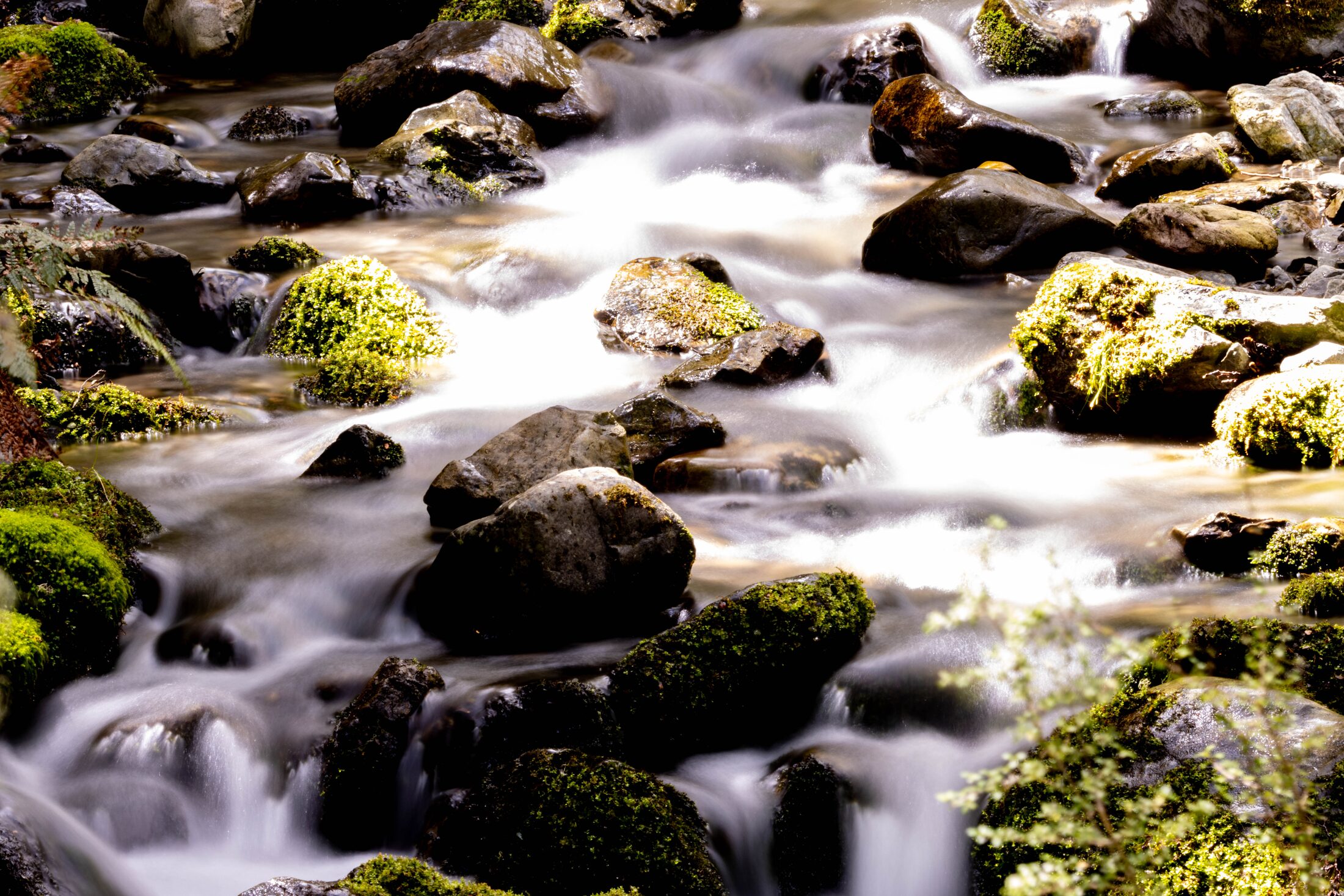Lake Brunner, New Zealand — photo 6 of 19