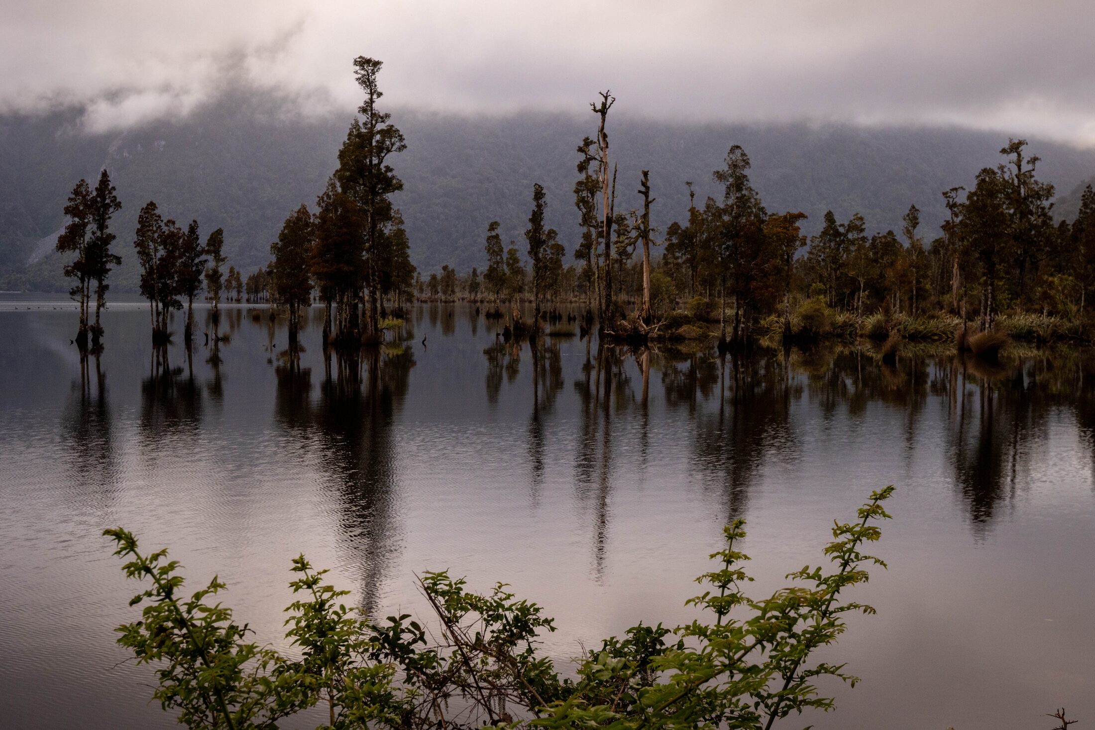 Lake Brunner, New Zealand — photo 7 of 19