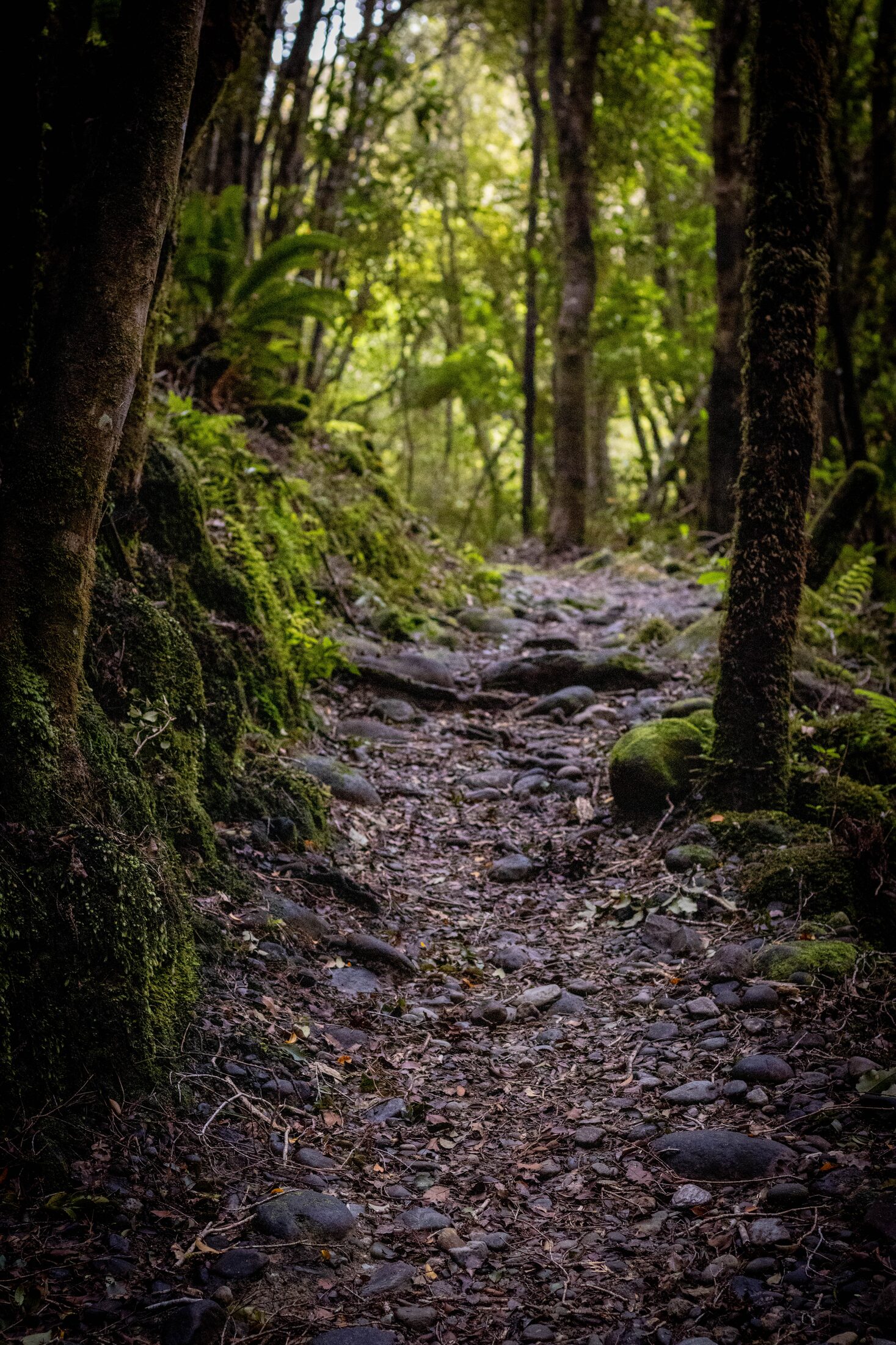 Lake Brunner, New Zealand — photo 14 of 19