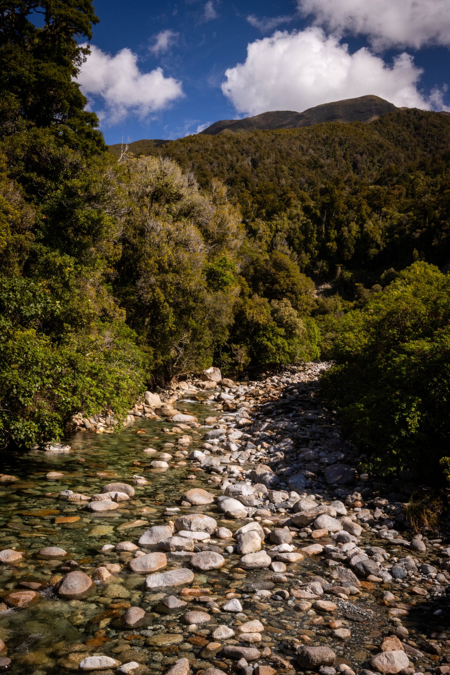 Lake Brunner, New Zealand — photo 16 of 19