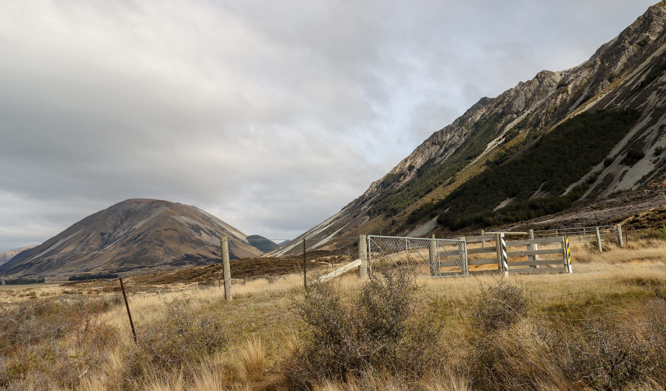 Lake Ohau, New Zealand — photo 4 of 20