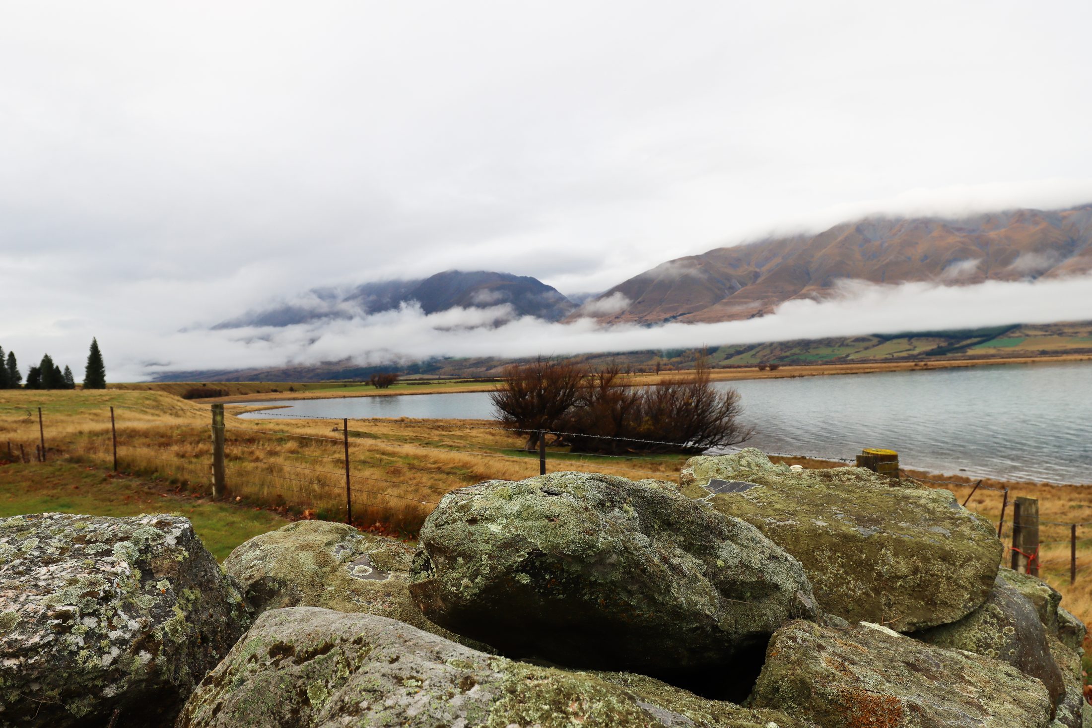 Lake Ohau, New Zealand — photo 14 of 20