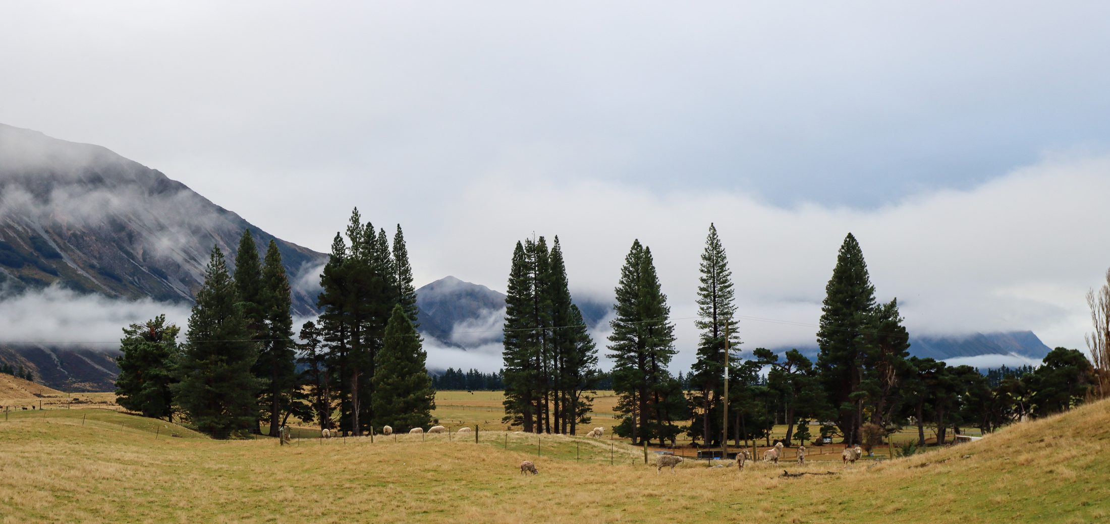 Lake Ohau, New Zealand — photo 18 of 20