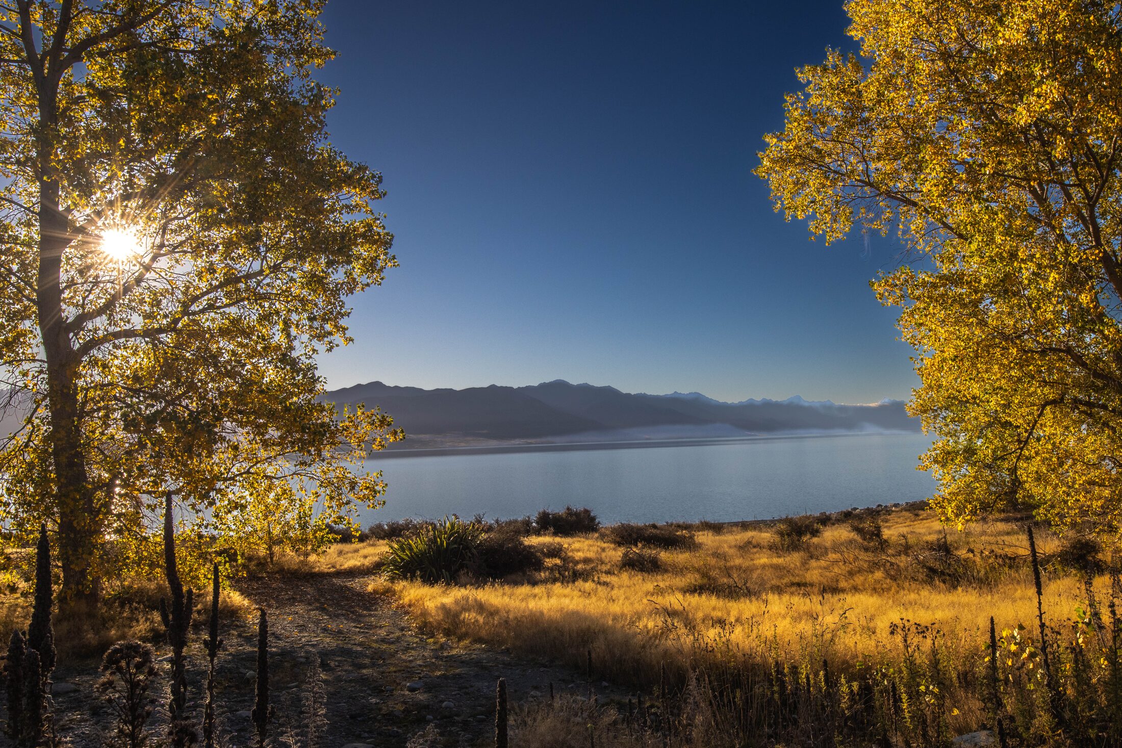 Lake Pukaki, New Zealand