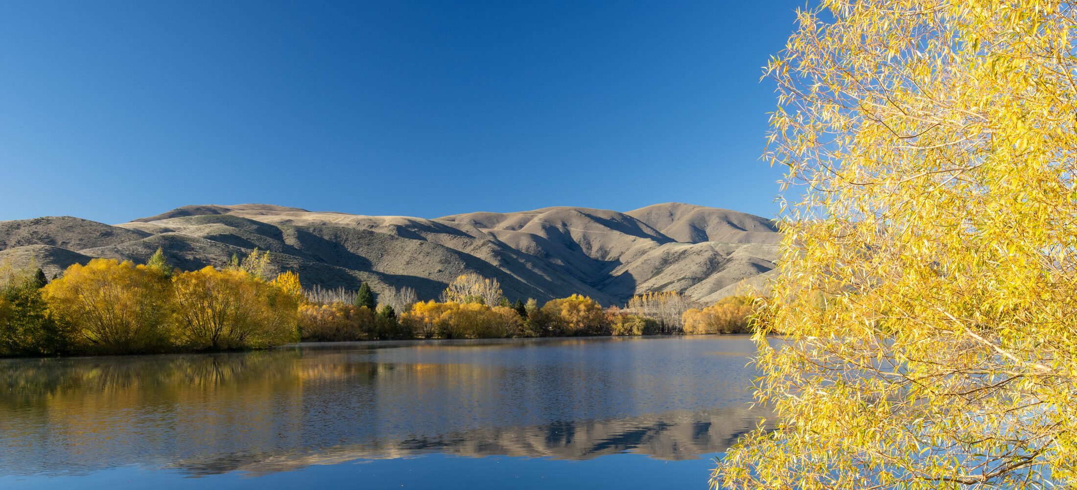 Lake Ruataniwha, New Zealand — photo 2 of 12