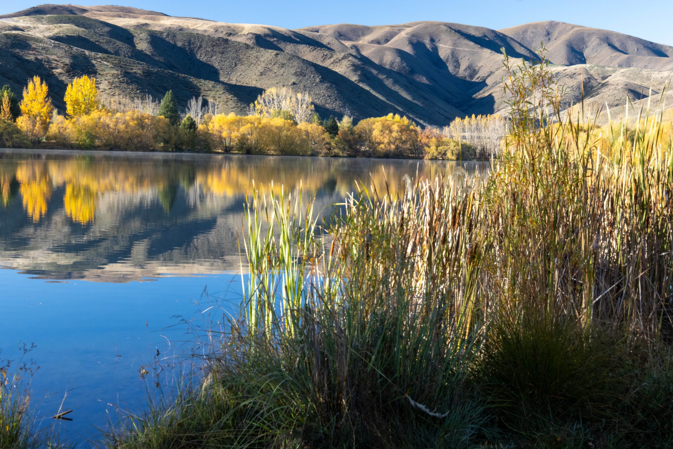 Lake Ruataniwha, New Zealand — photo 4 of 12