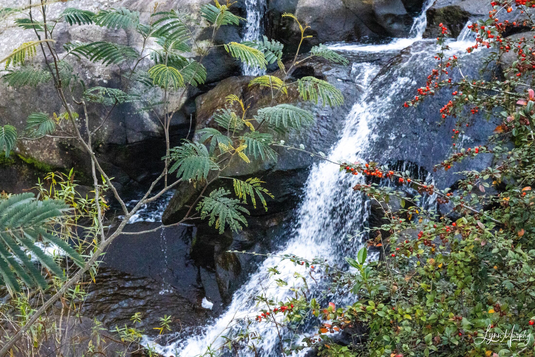 McLaren Falls, New Zealand — photo 7 of 7