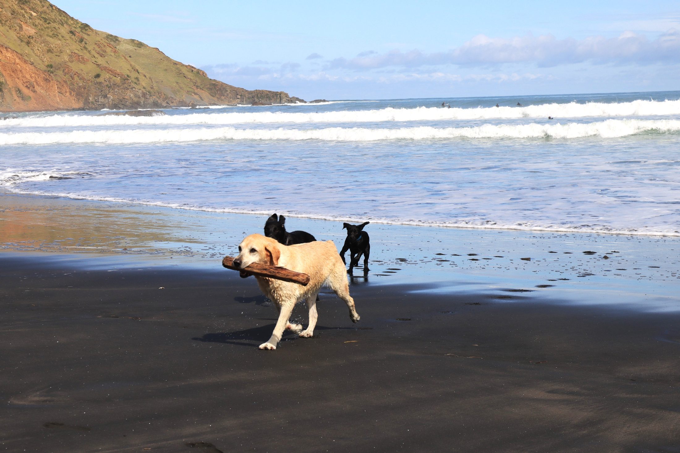 Port Waikato, New Zealand