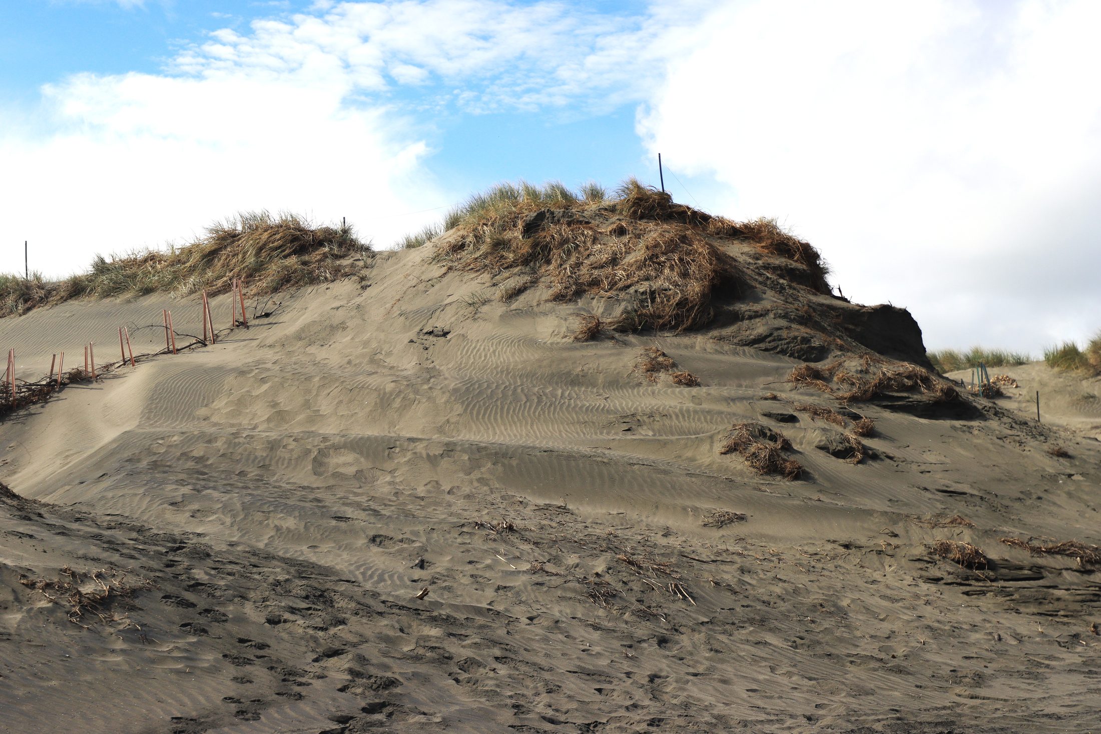 Port Waikato, New Zealand — photo 3 of 11