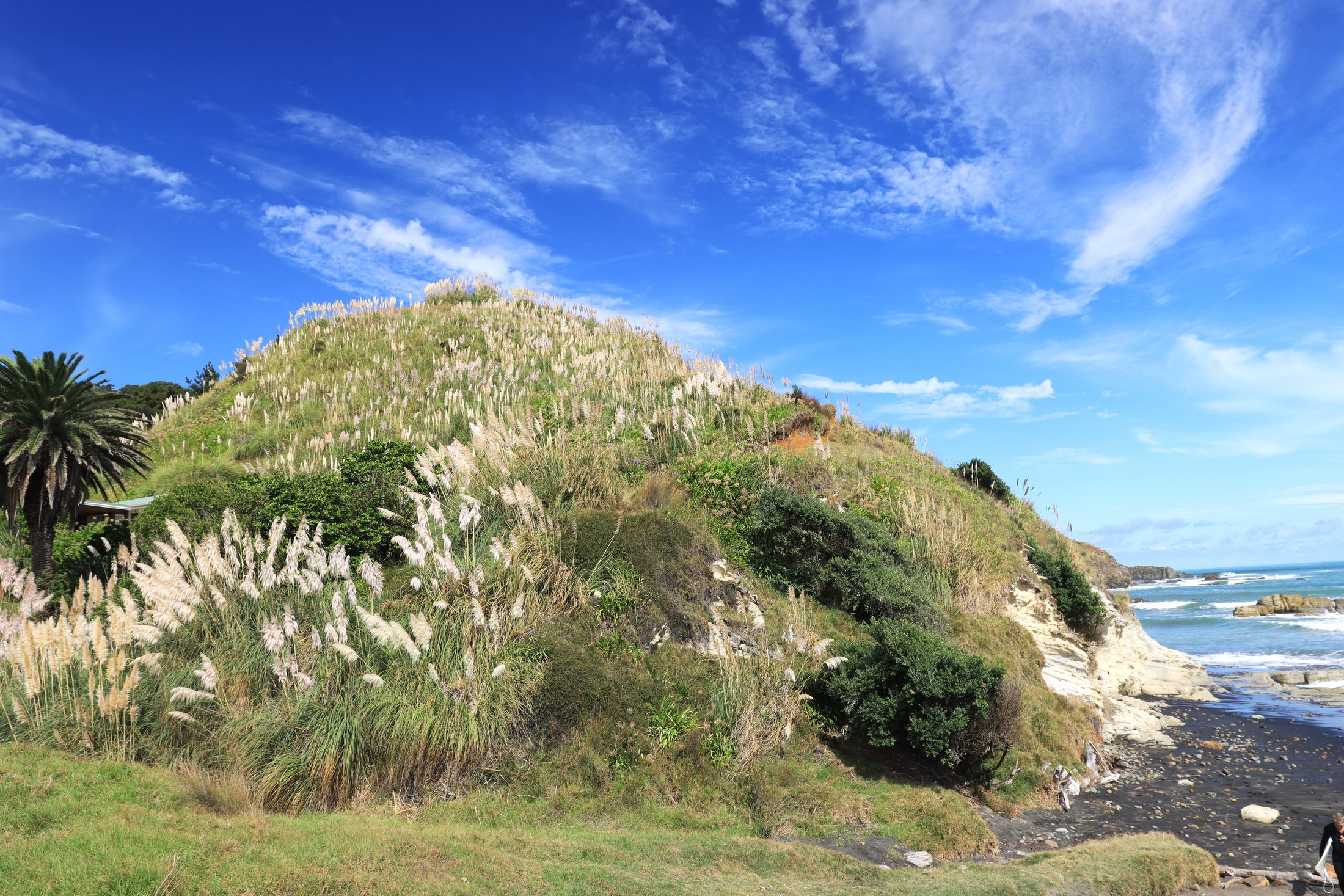 Port Waikato, New Zealand — photo 8 of 11