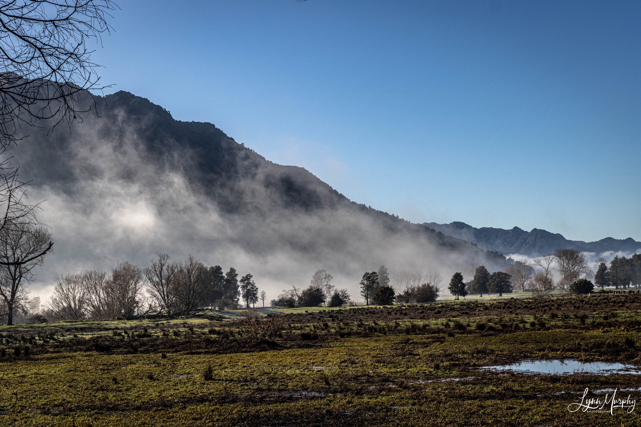 Te Aroha Rural, New Zealand