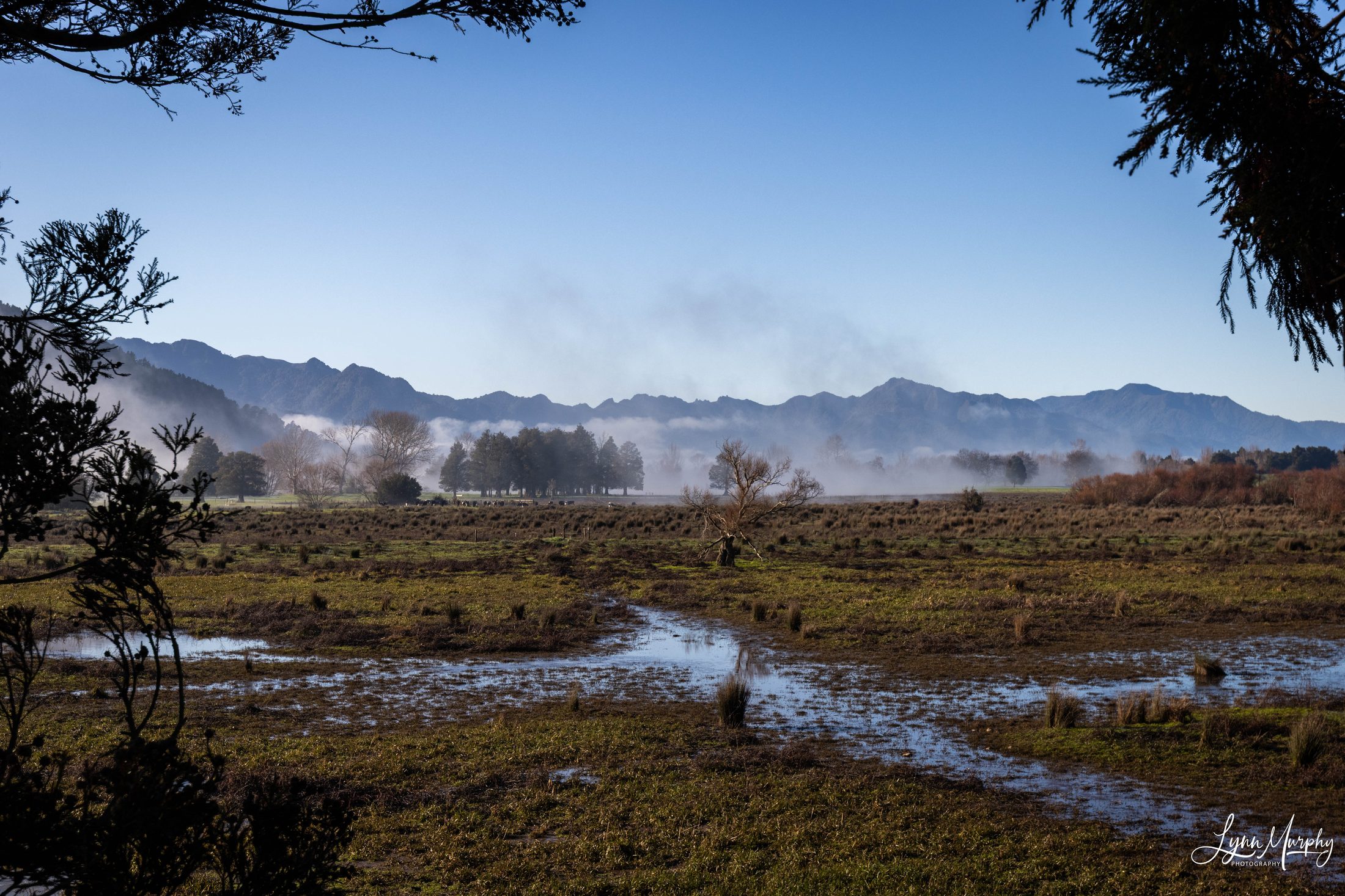 Te Aroha Rural, New Zealand — photo 2 of 11