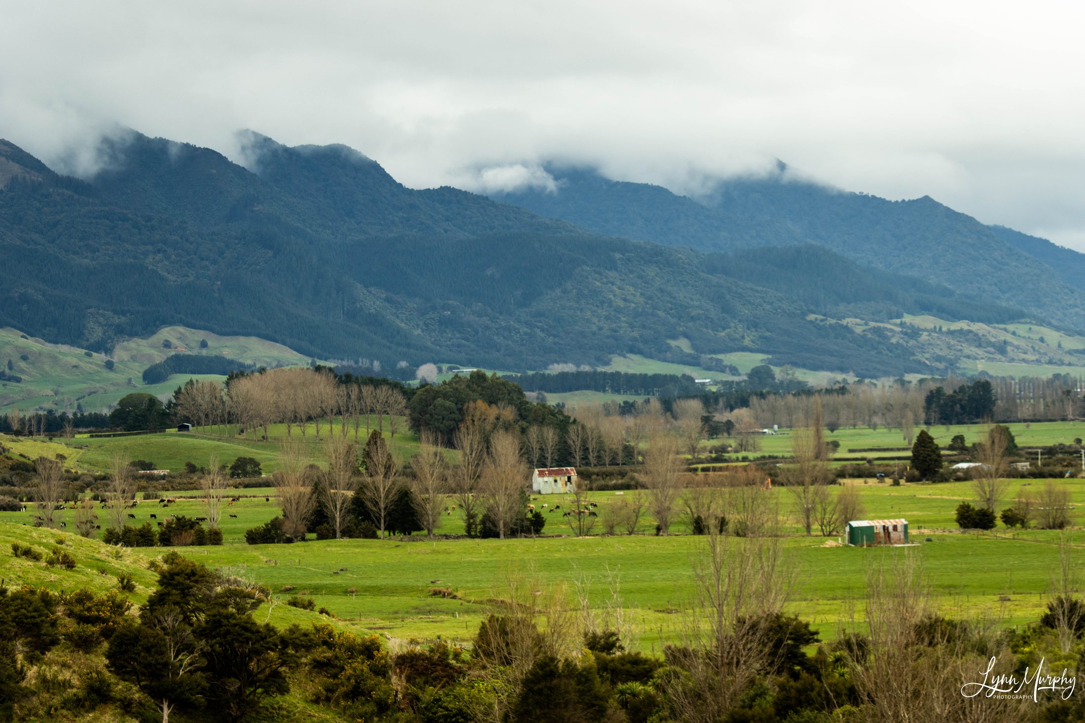 Te Aroha Rural, New Zealand — photo 6 of 11