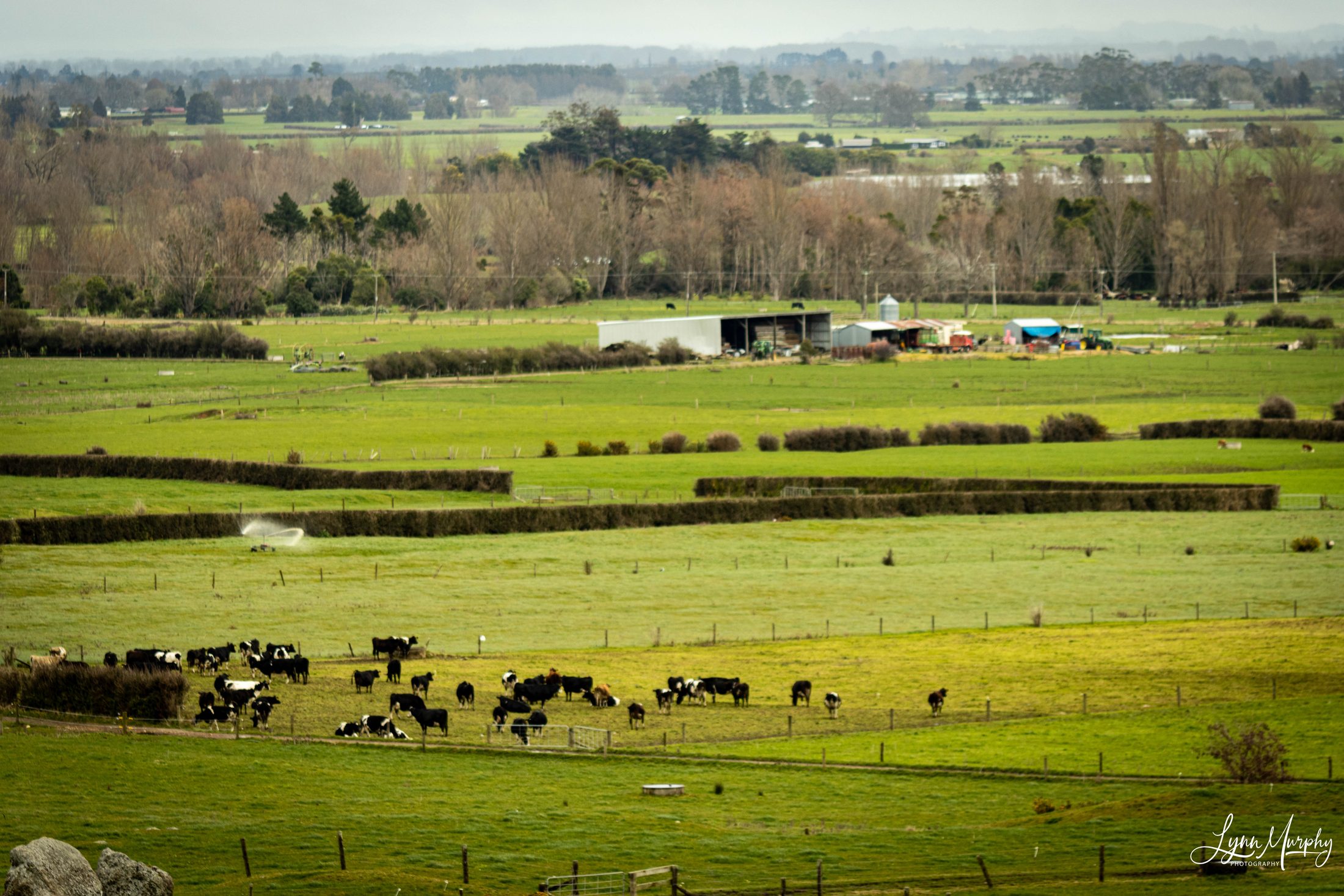 Te Aroha Rural, New Zealand — photo 7 of 11