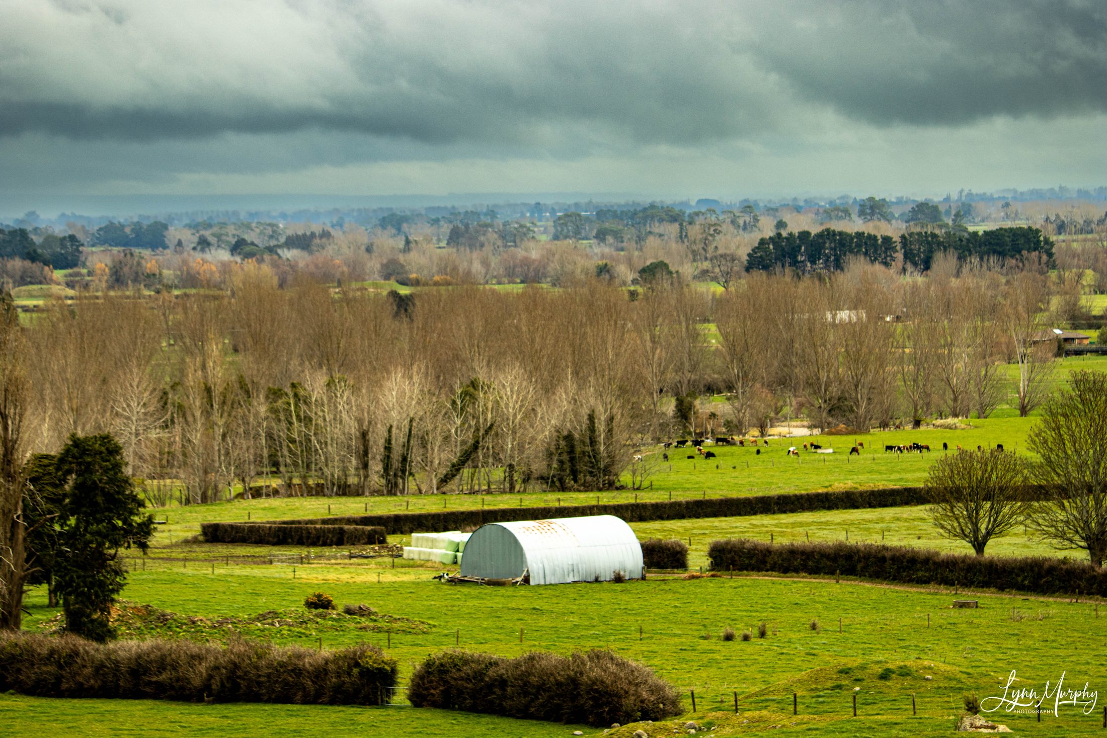 Te Aroha Rural, New Zealand — photo 8 of 11