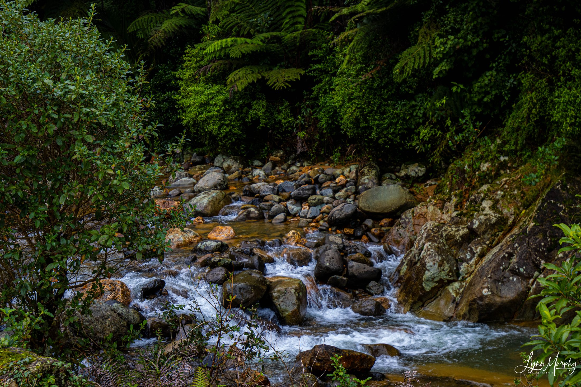 Te Aroha Rural, New Zealand — photo 9 of 11