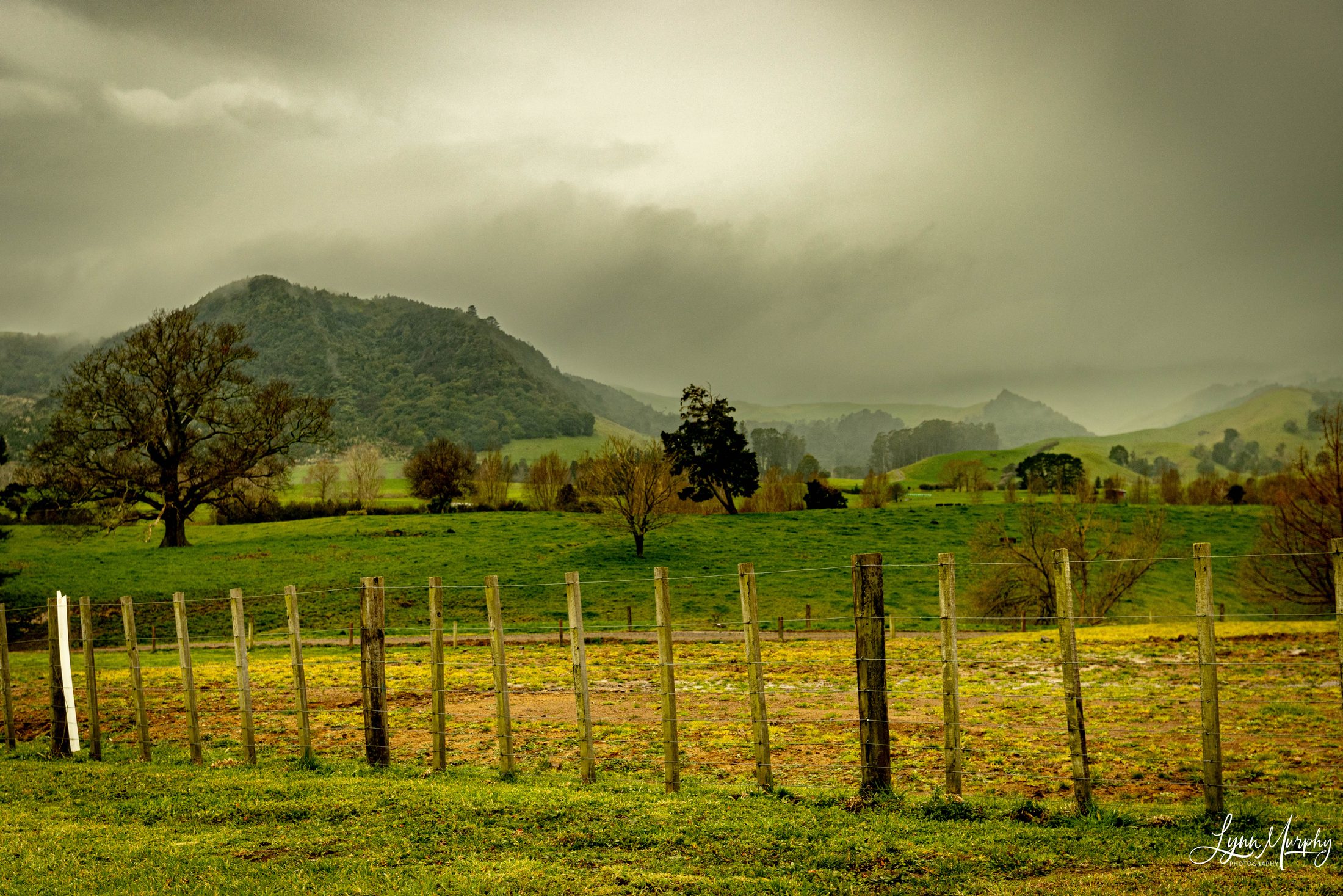 Te Aroha Rural, New Zealand — photo 11 of 11