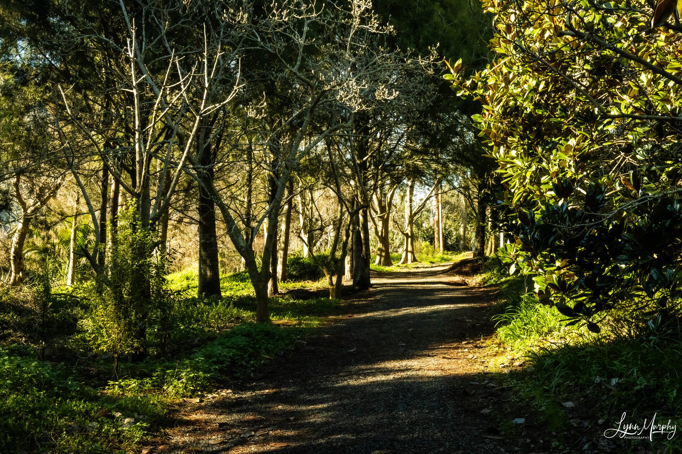 Te Aroha Wetlands, New Zealand — photo 5 of 5